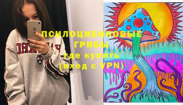 гидропоника Вяземский
