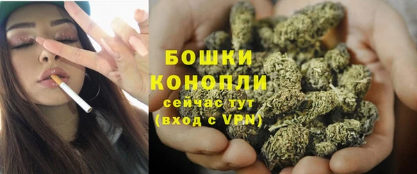 гидропоника Вяземский