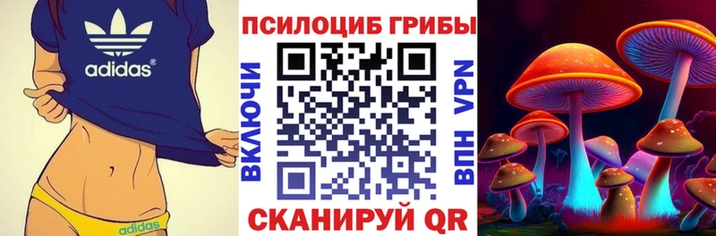 гидра ONION  Благовещенск  Галлюциногенные грибы MAGIC MUSHROOMS 